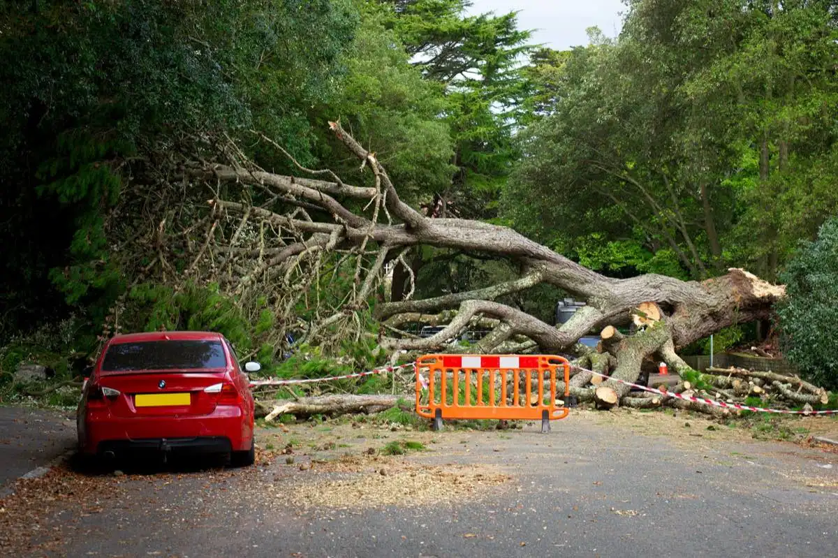 Commercial personal injury services in Cedar Park, TX